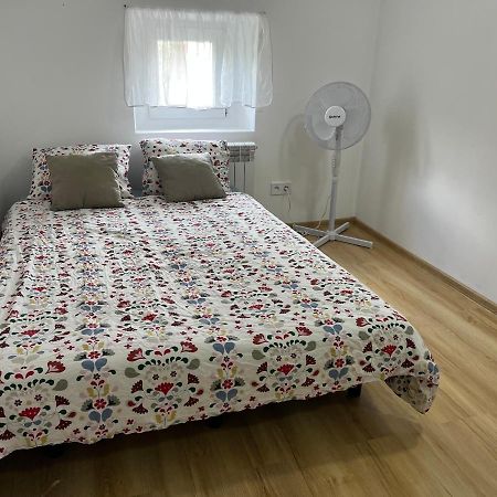 Green Apartment - Free Parking Katowice Esterno foto