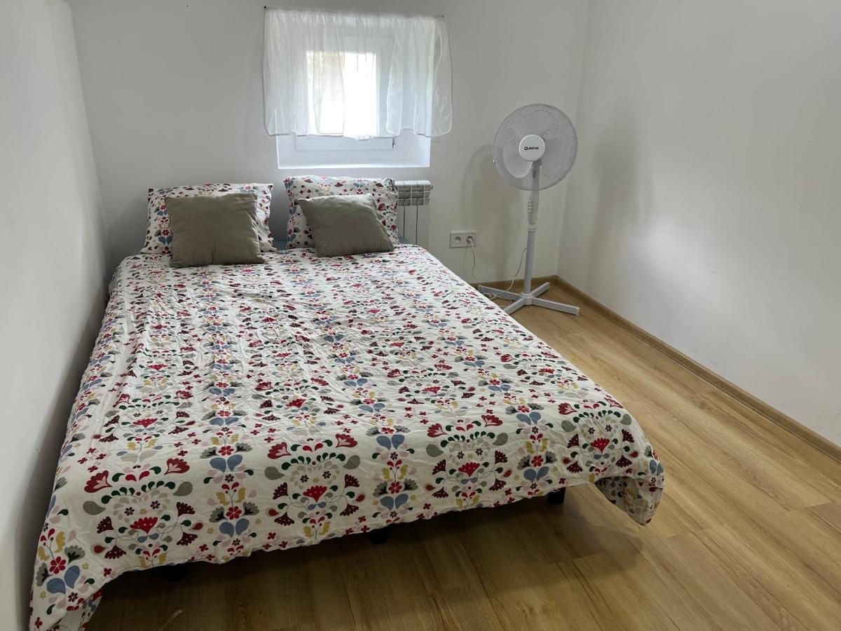 Green Apartment - Free Parking Katowice Esterno foto